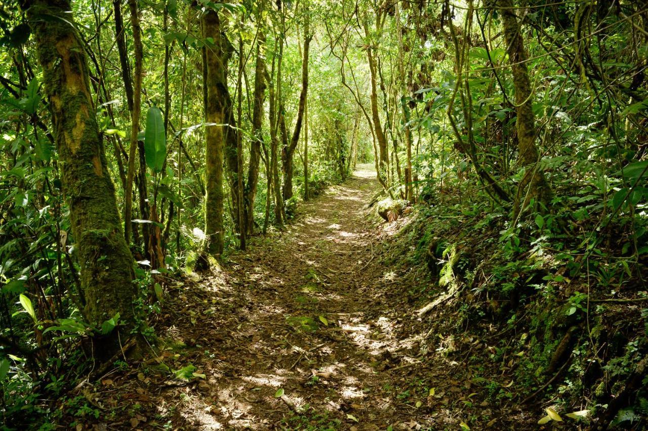 Talamanca Nature Reserve Rivas المظهر الخارجي الصورة