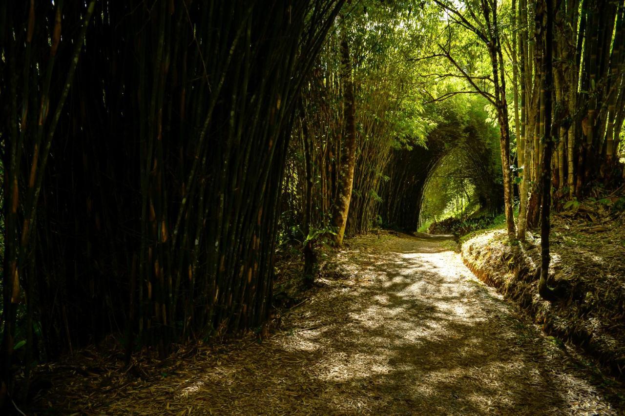 Talamanca Nature Reserve Rivas المظهر الخارجي الصورة