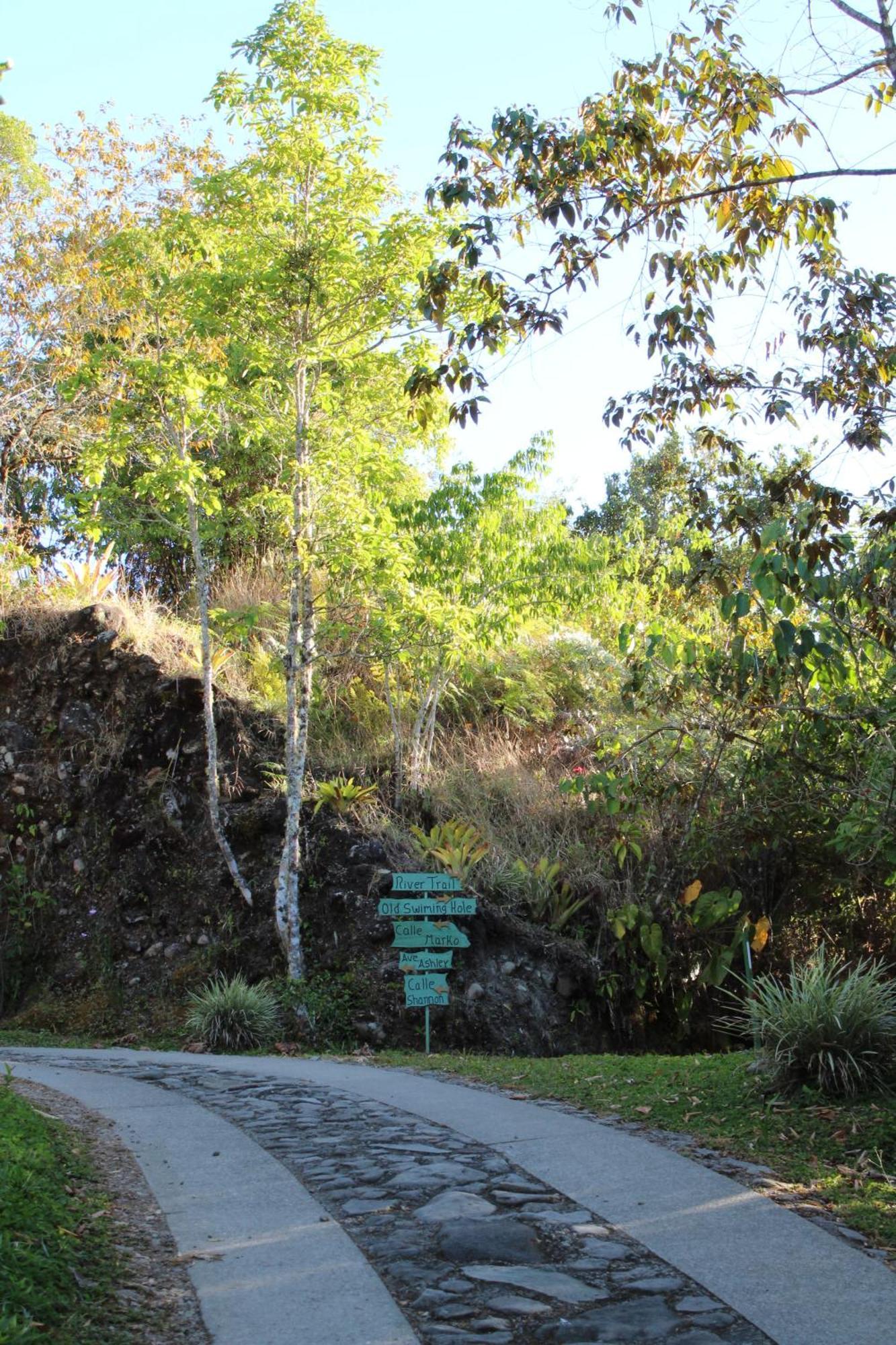 Talamanca Nature Reserve Rivas المظهر الخارجي الصورة