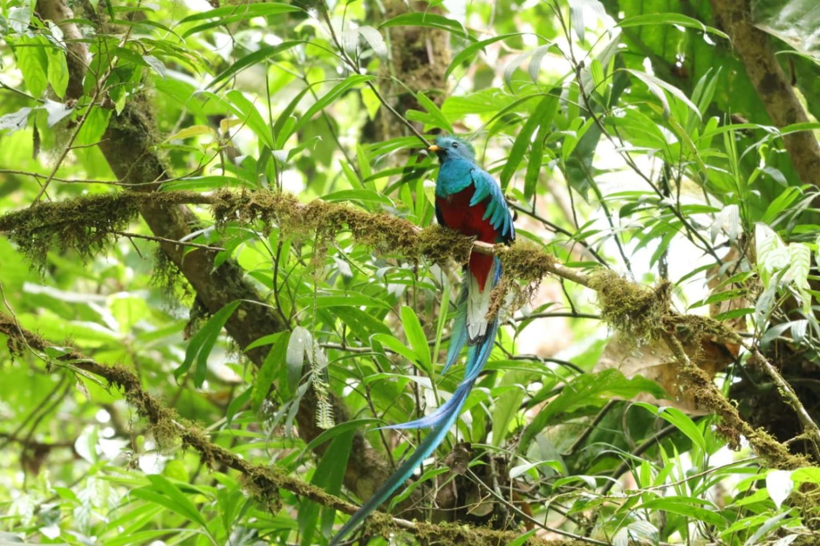 Talamanca Nature Reserve Rivas المظهر الخارجي الصورة