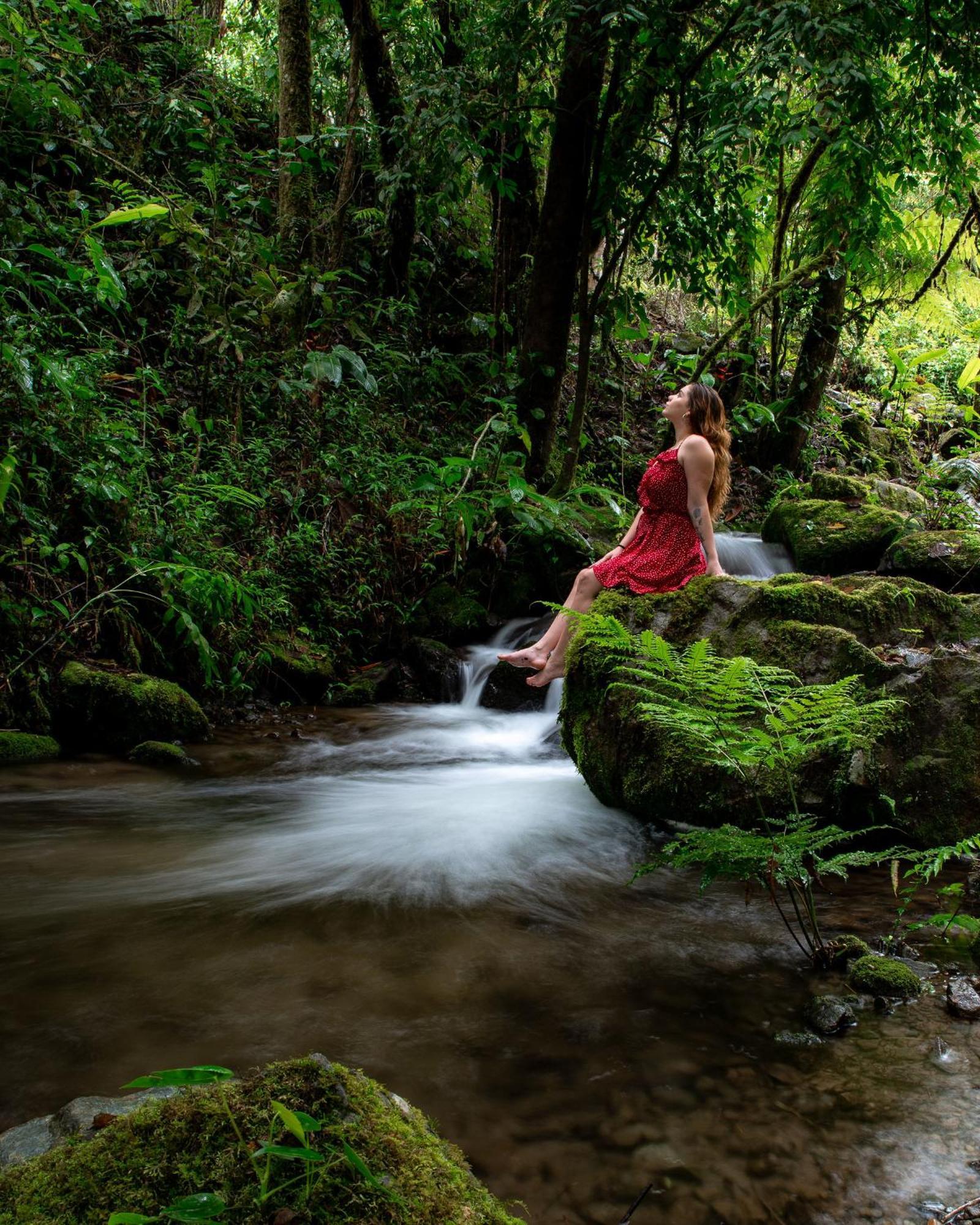 Talamanca Nature Reserve Rivas المظهر الخارجي الصورة