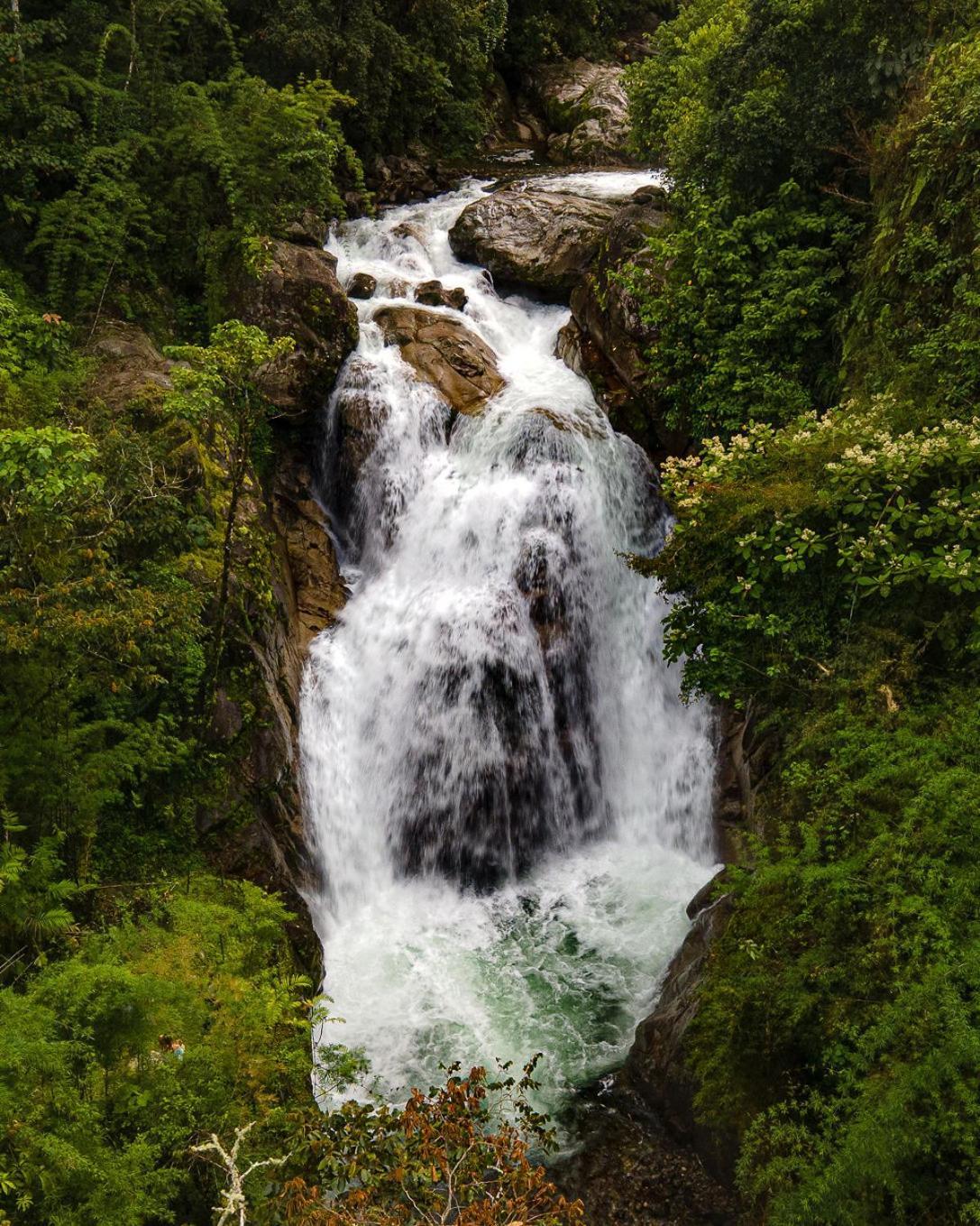 Talamanca Nature Reserve Rivas المظهر الخارجي الصورة