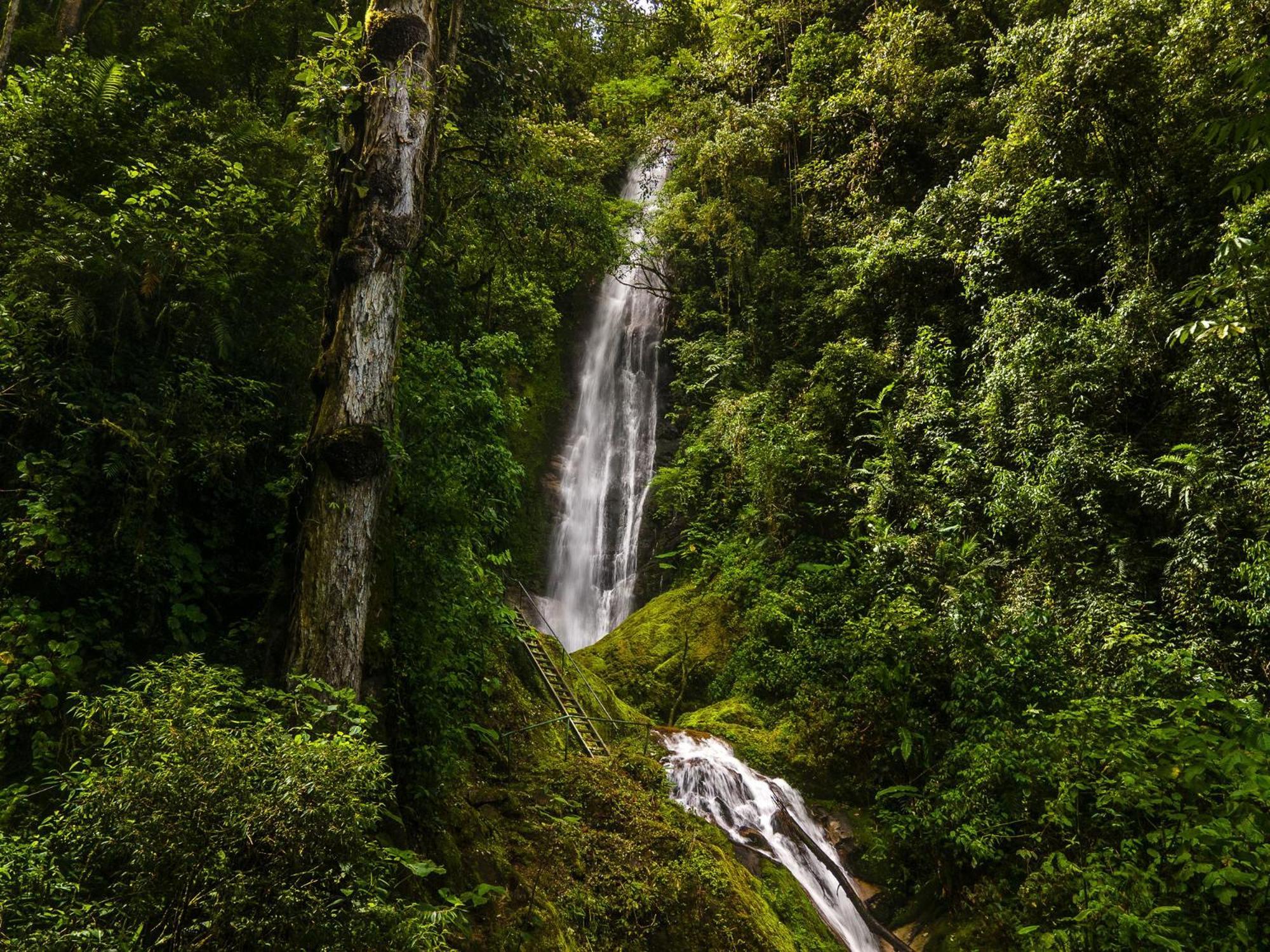 Talamanca Nature Reserve Rivas المظهر الخارجي الصورة