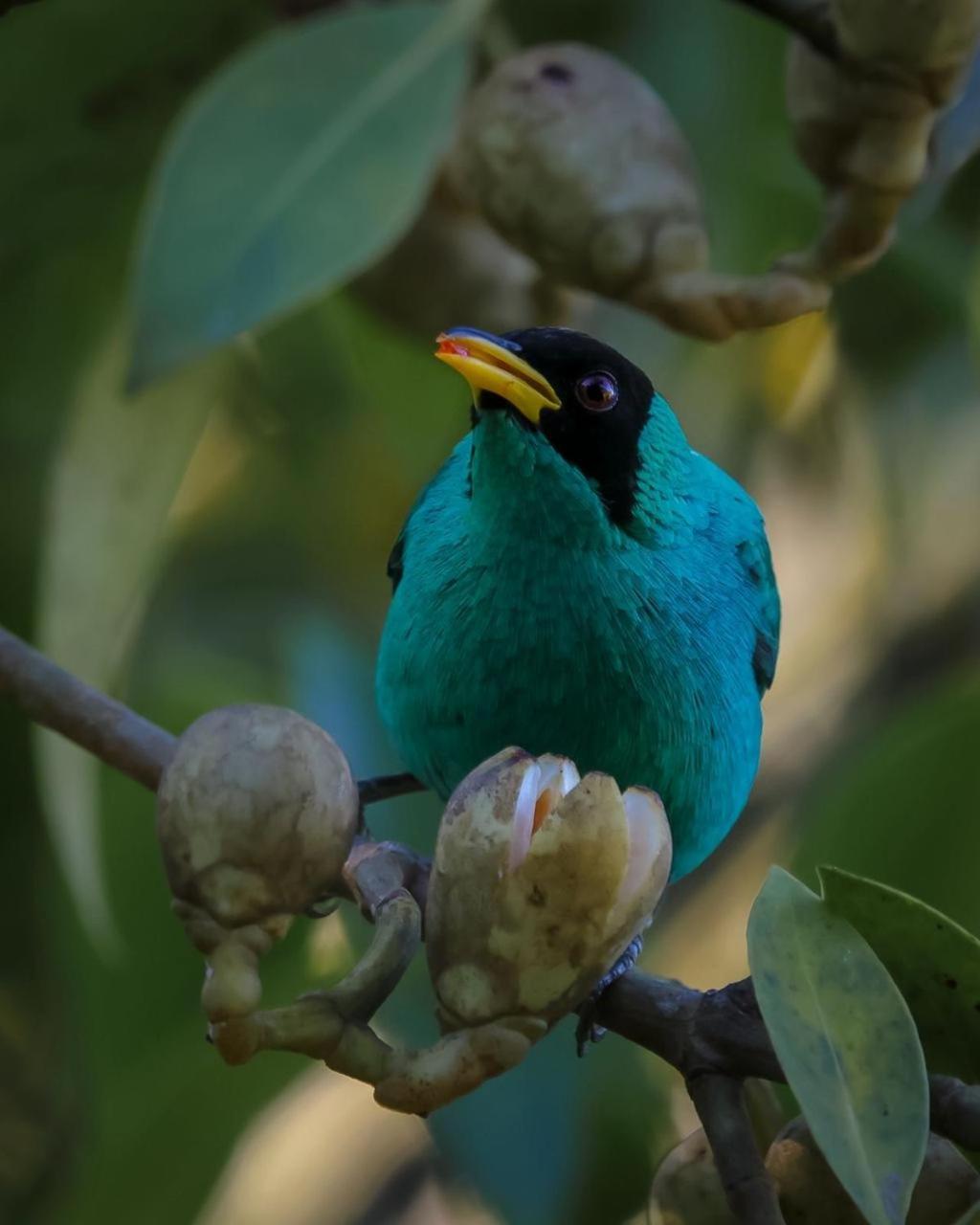 Talamanca Nature Reserve Rivas المظهر الخارجي الصورة