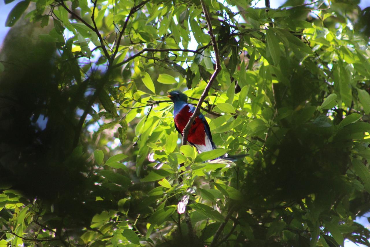 Talamanca Nature Reserve Rivas المظهر الخارجي الصورة