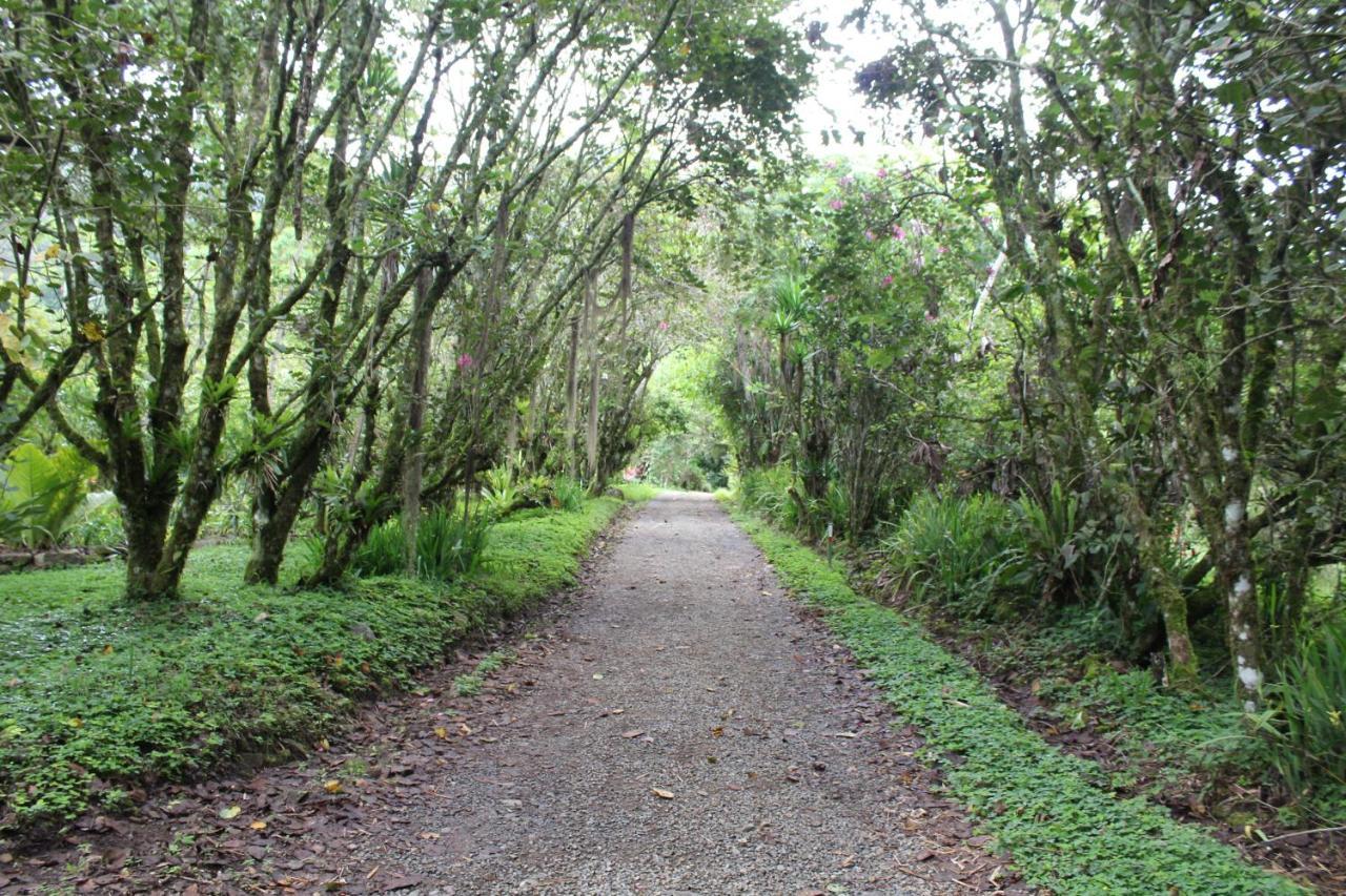 Talamanca Nature Reserve Rivas المظهر الخارجي الصورة